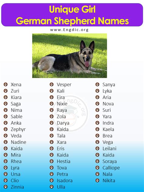 unusual german shepherd names